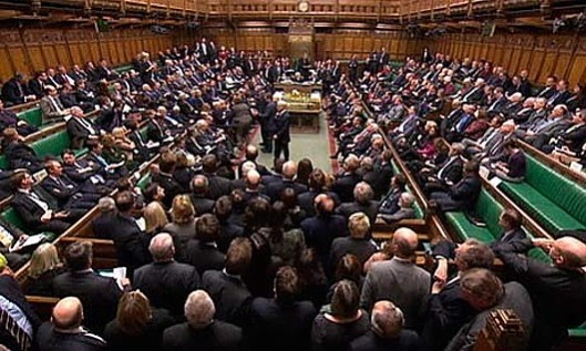 Get your votes out: But Vox Political believes there are probably far more MPs in this photograph than bothered to vote in the amendment to the Queen's speech seeking a commitment to an EU referendum.